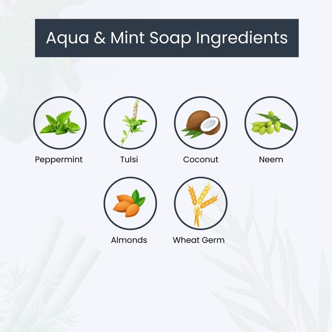 Purifying Aqua & Mint Soap - Pack of 3 - 100 gm each - Herbalart