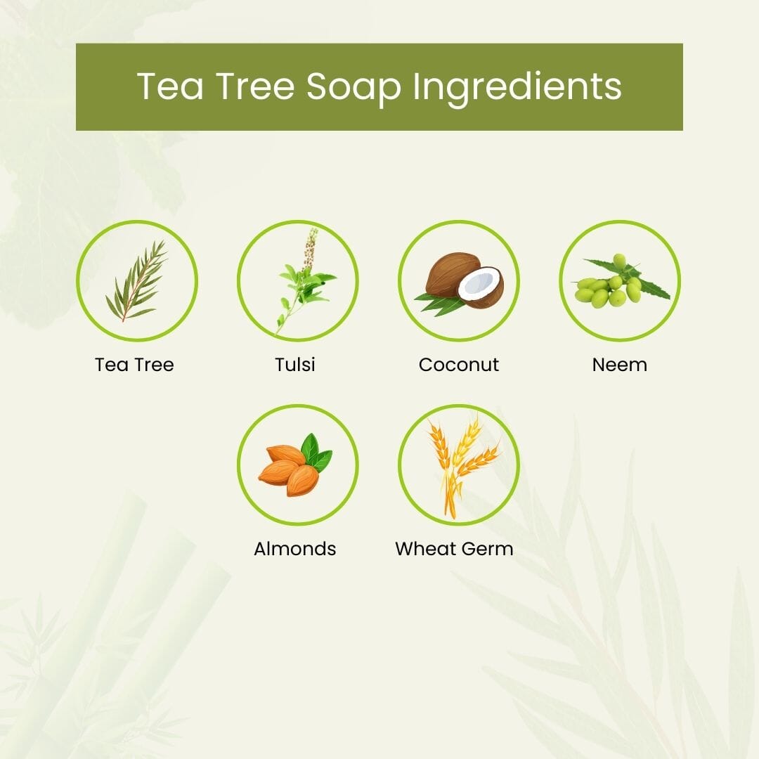 Purifying Tea Tree Soap - Pack of 3 - 100 gm each 300gms - Herbalart
